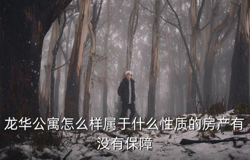 龍華公寓怎么樣屬于什么性質(zhì)的房產(chǎn)有沒(méi)有保障
