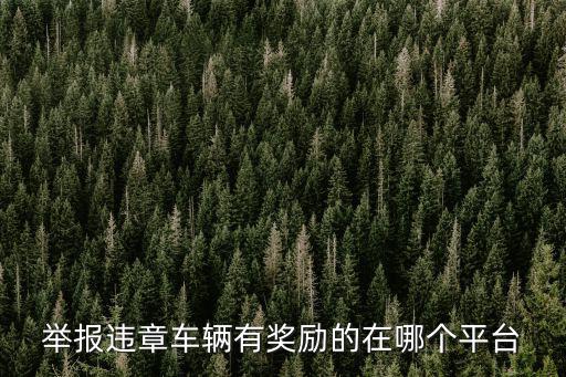 舉報違章車輛有獎勵的在哪個平臺