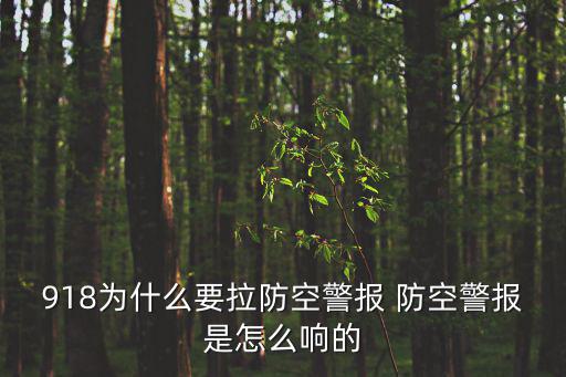 918防空，918防空警報響了什么意思