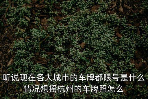 杭州車牌搖號官網，杭州什么時候開始申請搖號