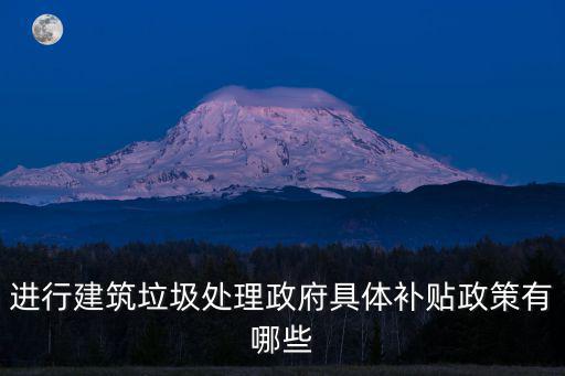 具體政策，中共中央的具體經濟政策是怎樣的