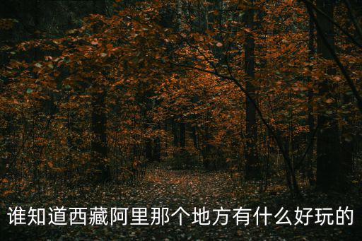 誰知道西藏阿里那個(gè)地方有什么好玩的