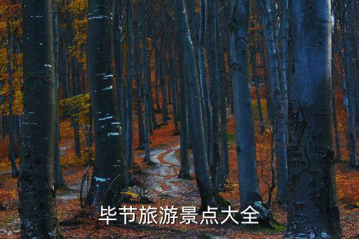畢節(jié)旅游景點(diǎn)大全