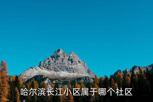 哈爾濱長江小區屬于哪個社區