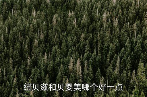 紐貝滋和貝嬰美哪個好一點