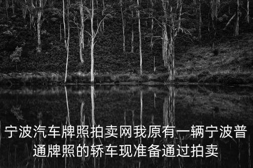 寧波汽車牌照拍賣網我原有一輛寧波普通牌照的轎車現準備通過拍賣