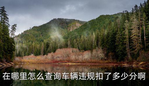 在哪里怎么查詢車輛違規(guī)扣了多少分啊