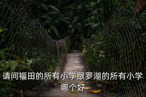 請問福田的所有小學跟羅湖的所有小學哪個好