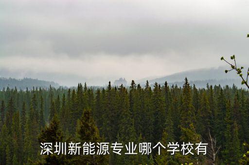 深圳新能源專業哪個學校有