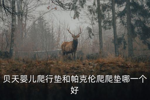 貝天嬰兒爬行墊和帕克倫爬爬墊哪一個(gè)好