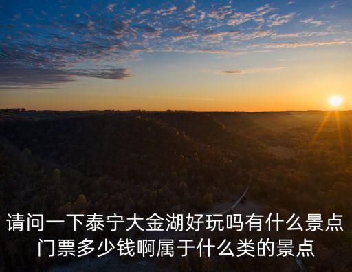 請問一下泰寧大金湖好玩嗎有什么景點門票多少錢啊屬于什么類的景點