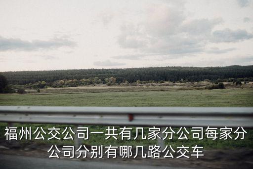 福州公交公司一共有幾家分公司每家分公司分別有哪幾路公交車