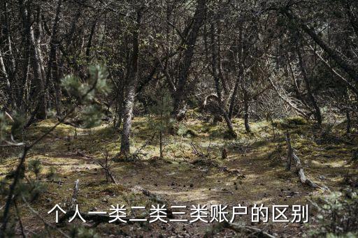 個人一類二類三類賬戶的區(qū)別