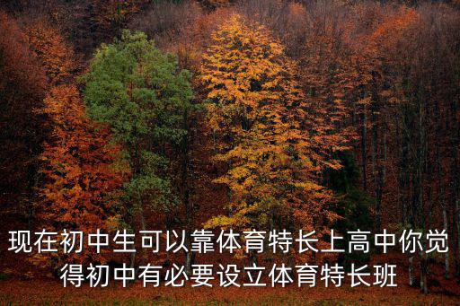 現在初中生可以靠體育特長上高中你覺得初中有必要設立體育特長班
