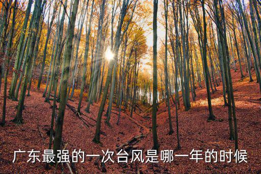 廣東最強的一次臺風是哪一年的時候