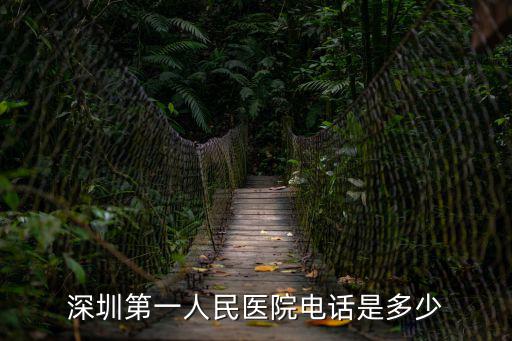 深圳第一人民醫(yī)院電話是多少
