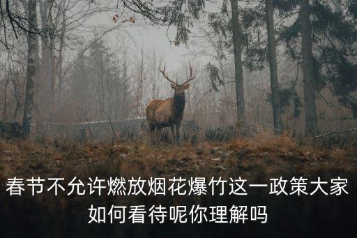 春節不允許燃放煙花爆竹這一政策大家如何看待呢你理解嗎