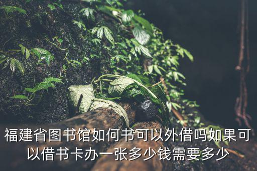 福建省圖書館官網，問 福建省圖書館在哪里可以找到關于文學名著小說不是言情意林