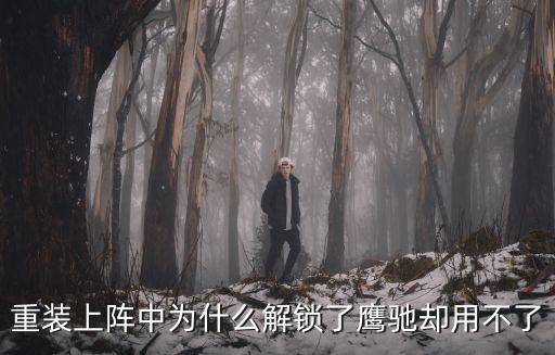 鷹馳，老明銳換led燈能解碼嗎