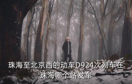 d924，D924珠海到北京西站列車新鄉站停車嗎