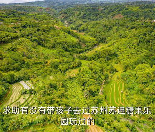 求助有沒有帶孩子去過蘇州蘇迪糖果樂園玩過的