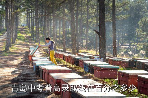 普高分?jǐn)?shù)線，普通高中的分?jǐn)?shù)線最低是多少