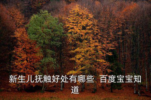 新生兒撫觸好處有哪些  百度寶寶知道