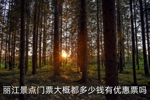 麗江景點門票大概都多少錢有優惠票嗎