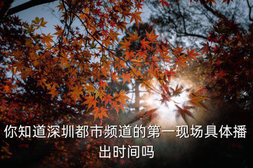 你知道深圳都市頻道的第一現場具體播出時間嗎