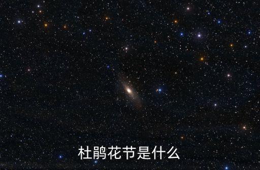杜鵑花節是什么