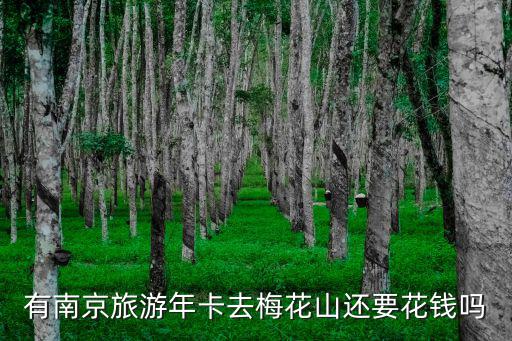 有南京旅游年卡去梅花山還要花錢嗎