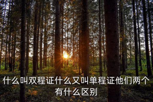 雙程證，雙程證是什么意思