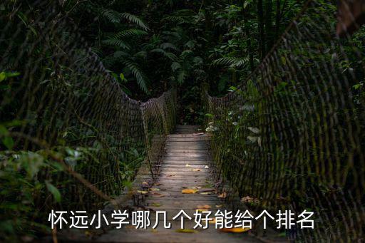 懷遠(yuǎn)縣第二實驗小學(xué)，懷遠(yuǎn)縣顧雨琪有誰認(rèn)識2002年在第二實驗小學(xué)上學(xué)