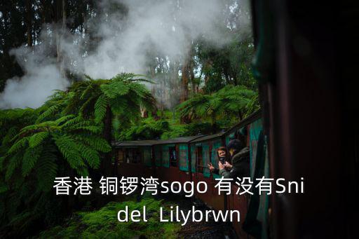 香港sogo官網，香港哪里有sogo百貨