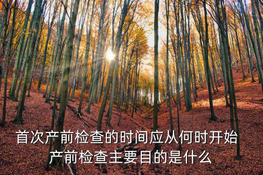首次產前檢查的時間應從何時開始  產前檢查主要目的是什么
