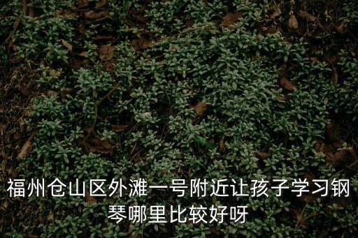 福州倉山區(qū)外灘一號附近讓孩子學(xué)習(xí)鋼琴哪里比較好呀