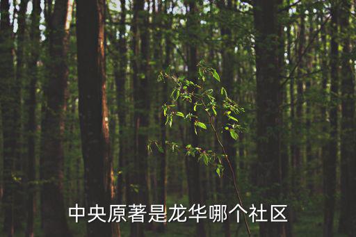 中央原著，中央原著這邊有中信銀行嗎