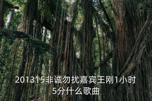 非誠勿擾王剛，201315非誠勿擾嘉賓王剛1小時5分什么歌曲