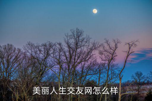 美麗人生交友網怎么樣