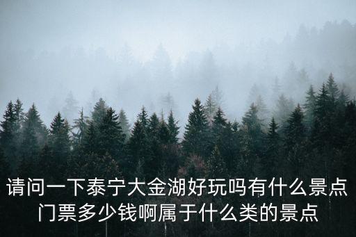 請問一下泰寧大金湖好玩嗎有什么景點門票多少錢啊屬于什么類的景點