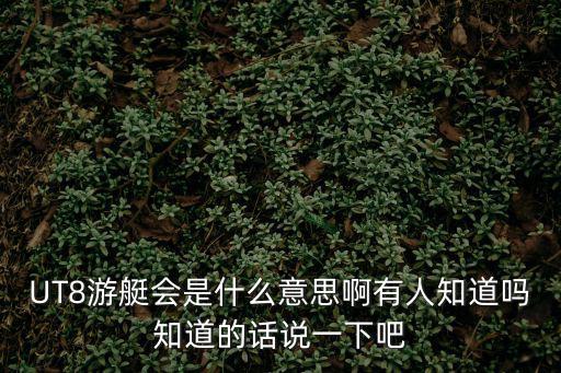 UT8游艇會(huì)是什么意思啊有人知道嗎知道的話(huà)說(shuō)一下吧