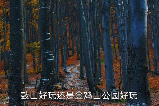 鼓山好玩還是金雞山公園好玩