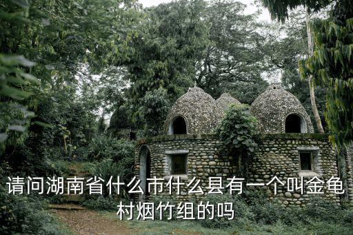 請問湖南省什么市什么縣有一個叫金龜村煙竹組的嗎