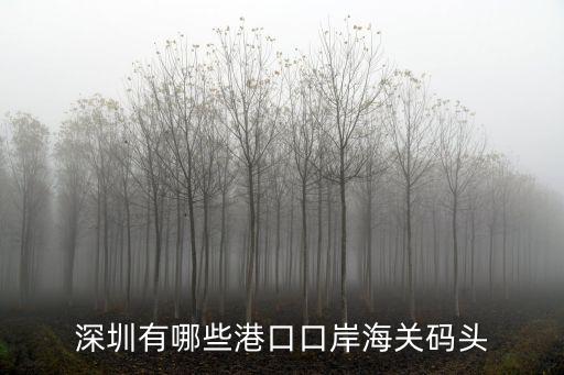 深圳有哪些港口口岸海關(guān)碼頭