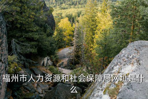 福州市人力資源和社會保障局網址是什么