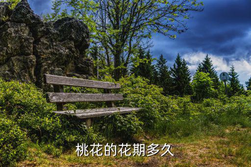 桃花的花期多久