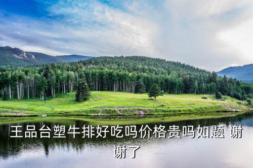 臺(tái)塑王品牛排，為什么叫王品臺(tái)塑牛排