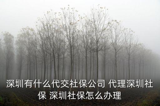 深圳有什么代交社保公司 代理深圳社保 深圳社保怎么辦理