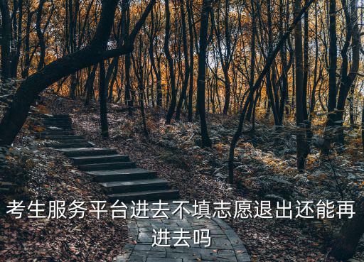 學(xué)生服務(wù)平臺(tái)，考生服務(wù)平臺(tái)進(jìn)去不填志愿退出還能再進(jìn)去嗎