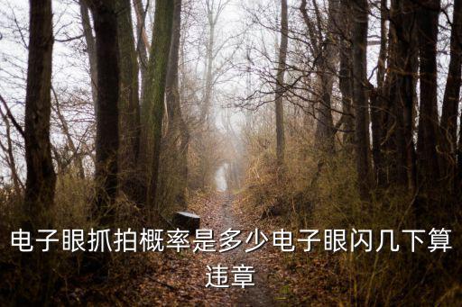 電子眼抓拍概率是多少電子眼閃幾下算違章